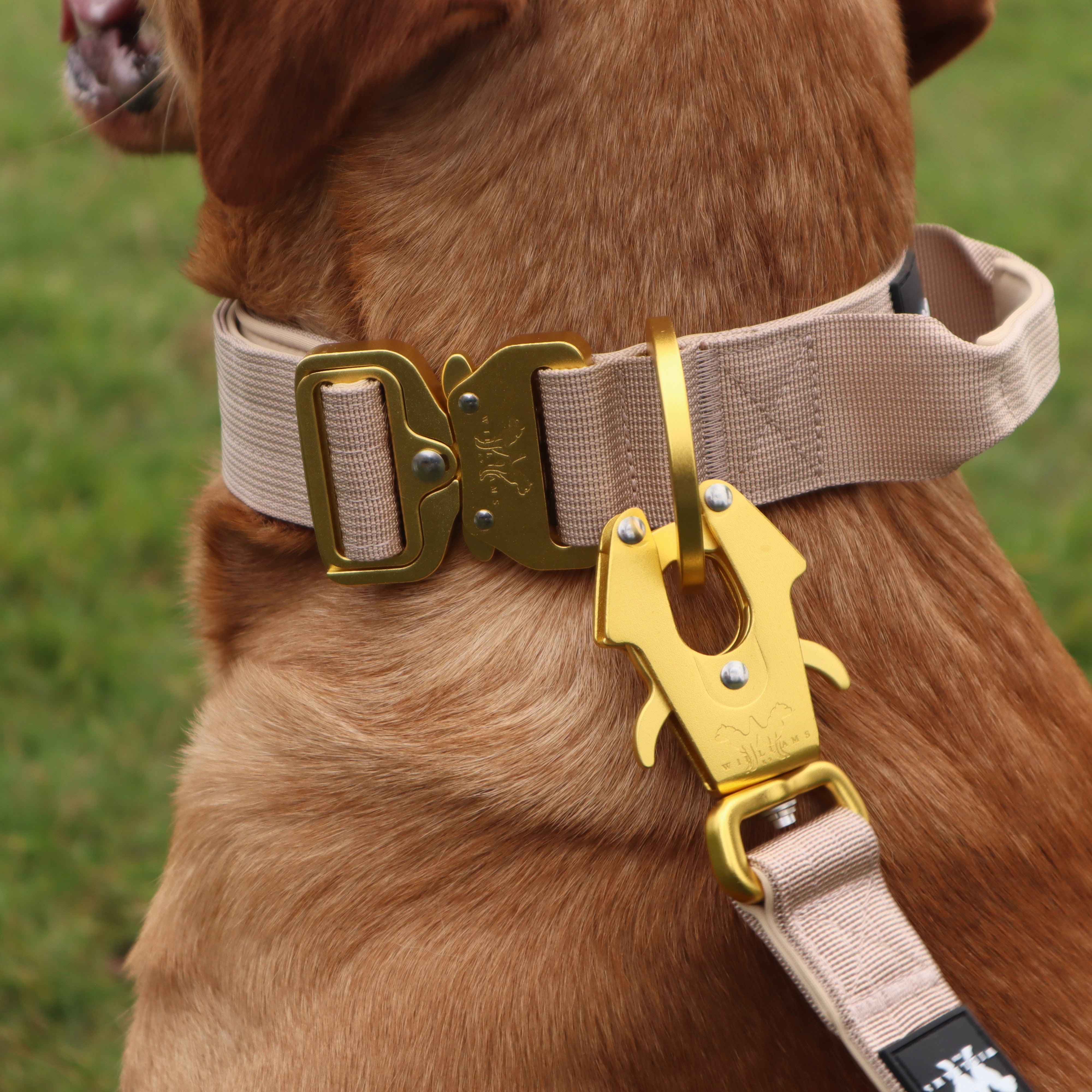 AeroForge 4CM Collar | Military Tan