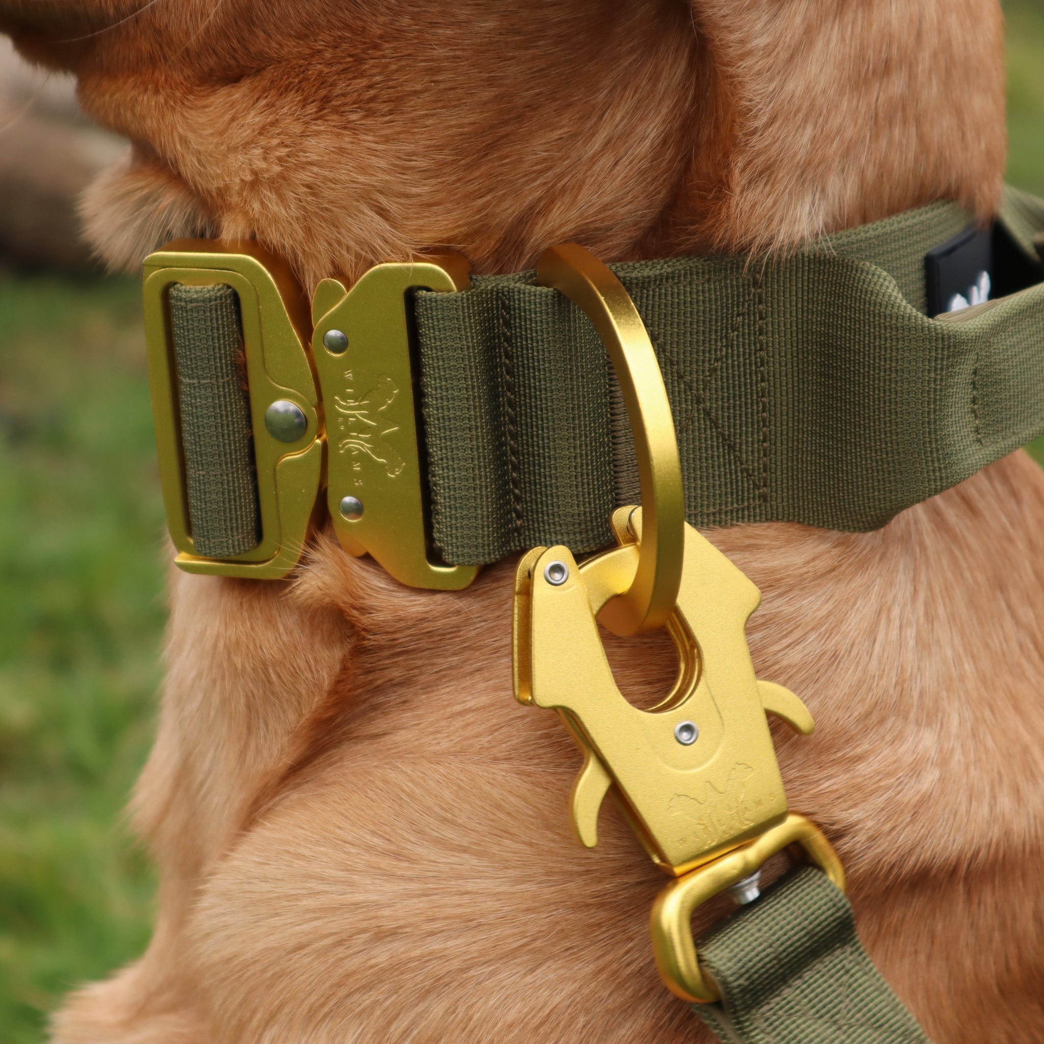 AeroForge 5CM Collar | Khaki