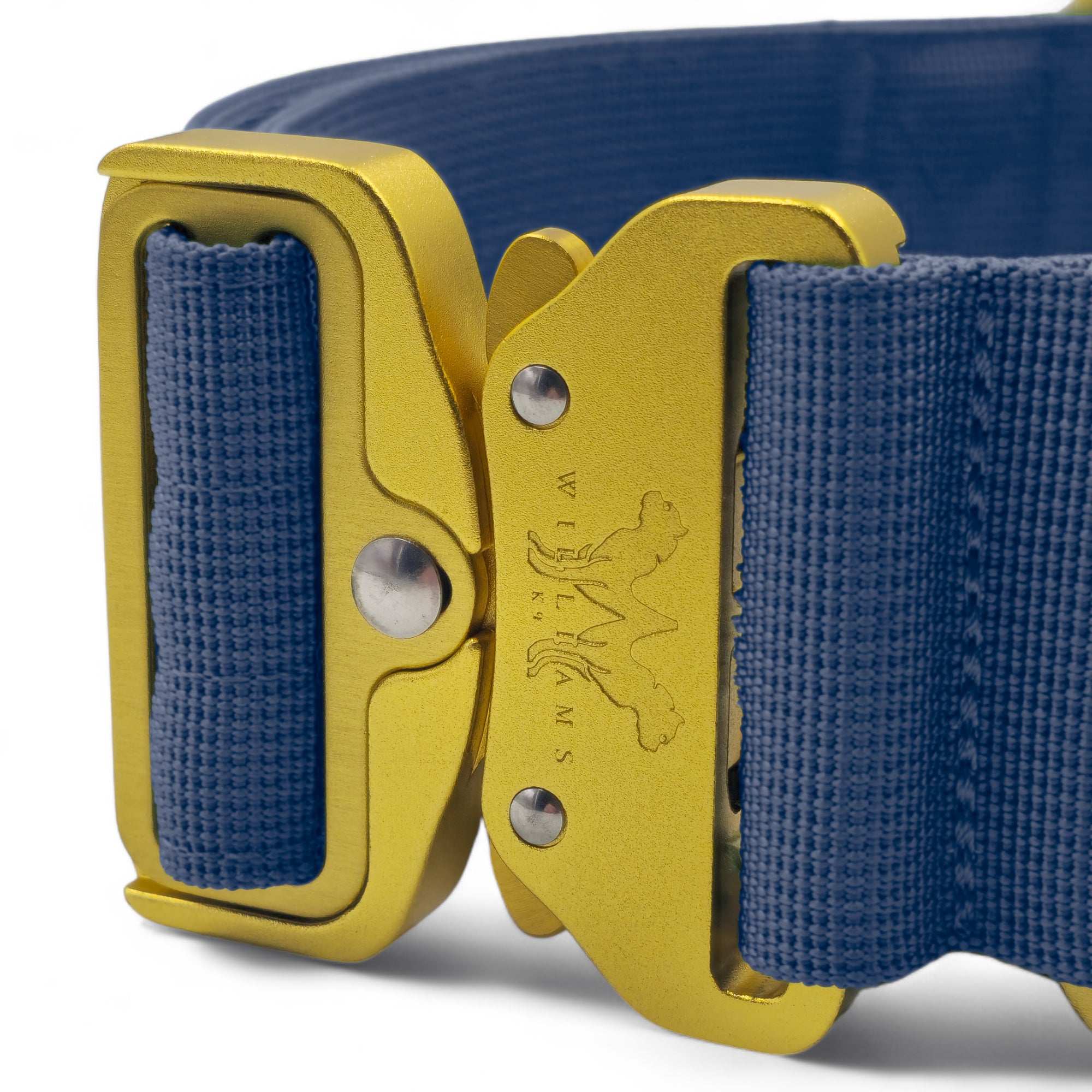 AeroForge 5CM Collar | Royal Blue