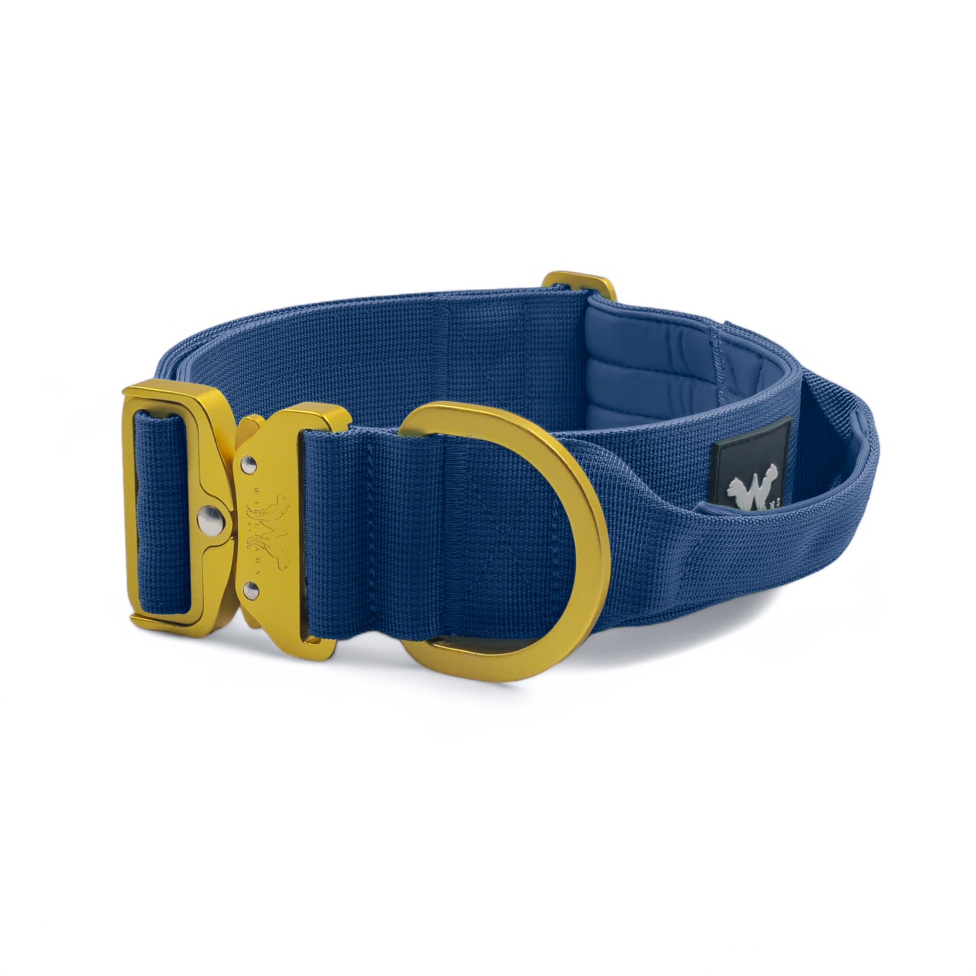 AeroForge 5CM Collar | Royal Blue