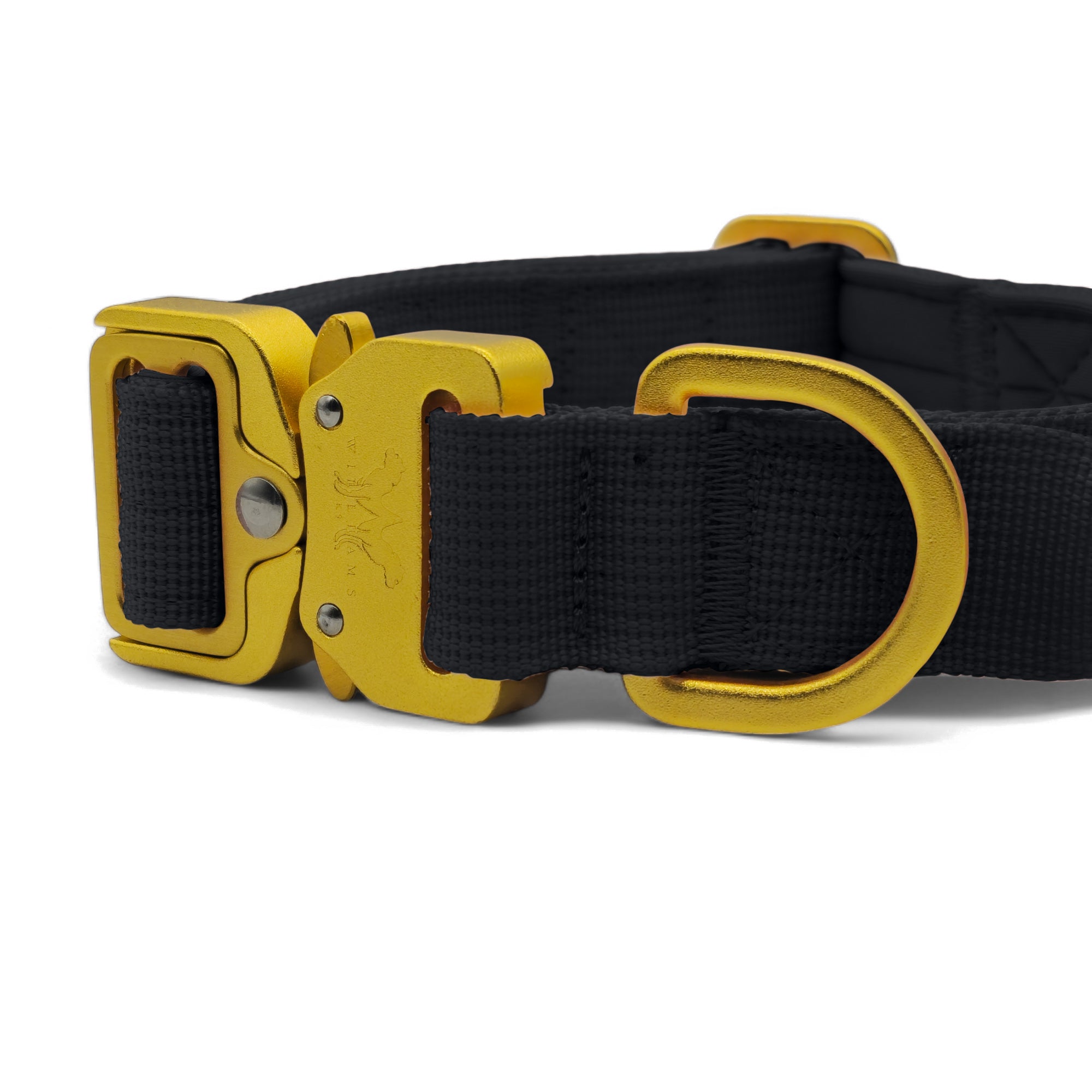 AeroForge 2.5CM Collar | Black