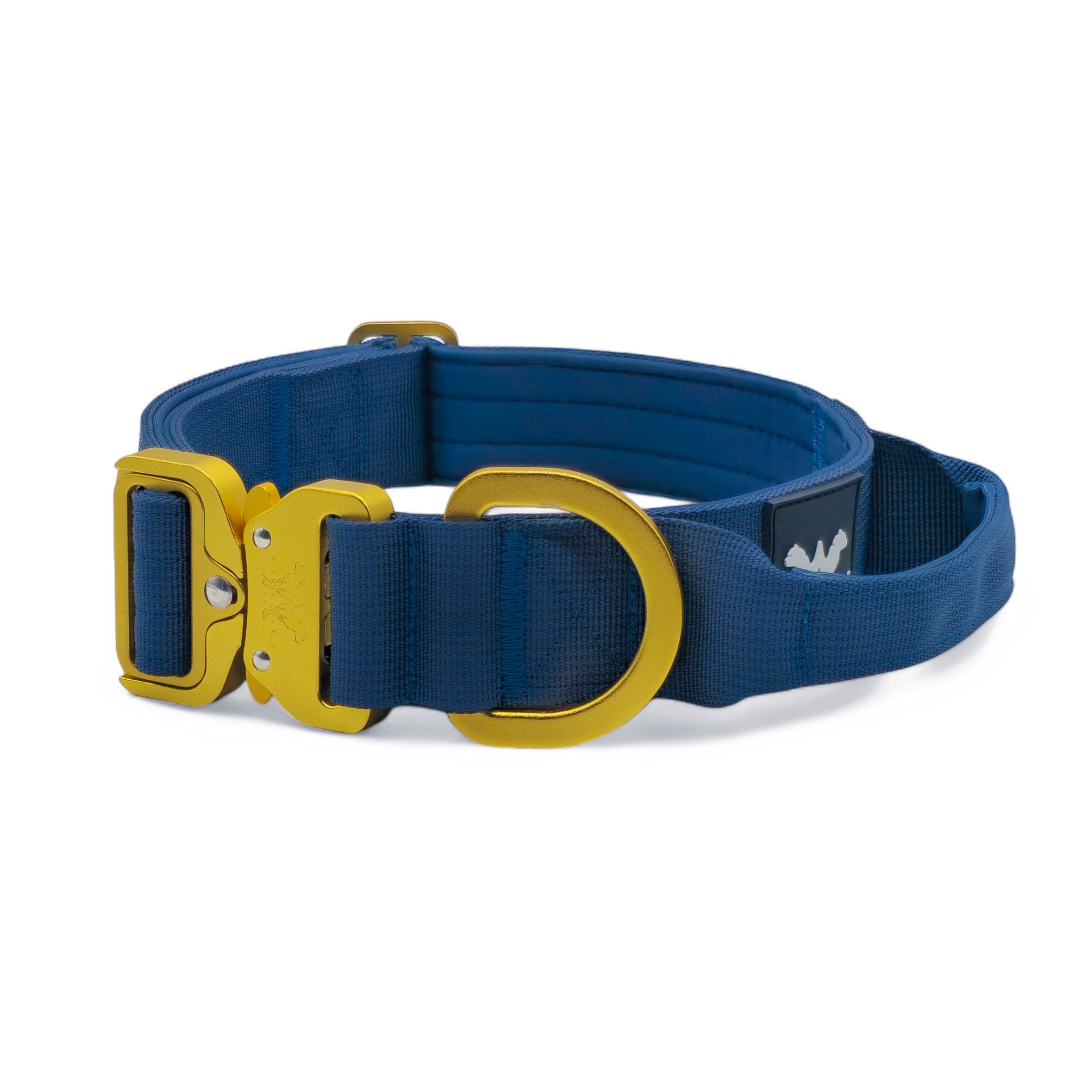 AeroForge 4CM Collar | Royal Blue