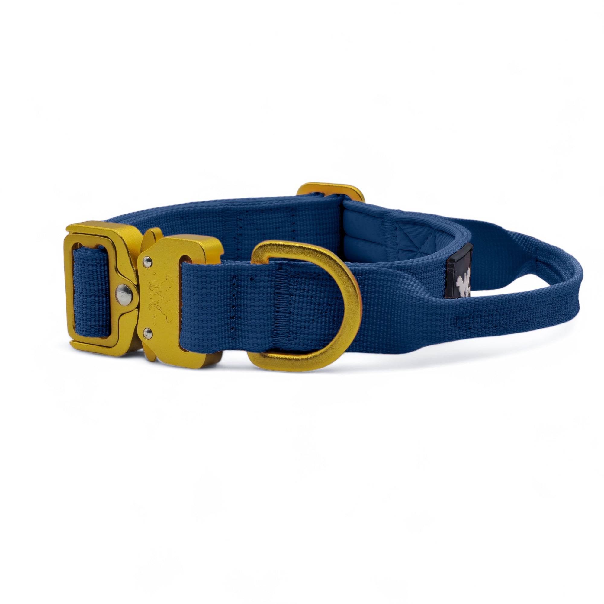 AeroForge 2.5CM Collar | Royal Blue