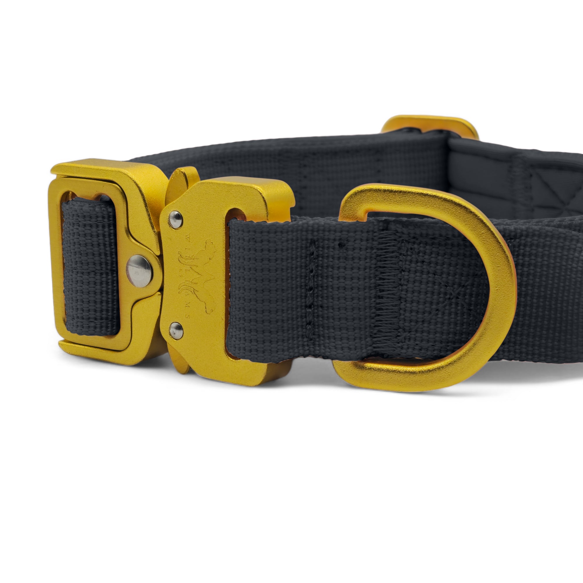 Light Tactical Collar 2.5CM Black | Triple Stitched Nylon Lightweight Gold Aluminium Buckle + D Ring Adjustable Collar With Handle