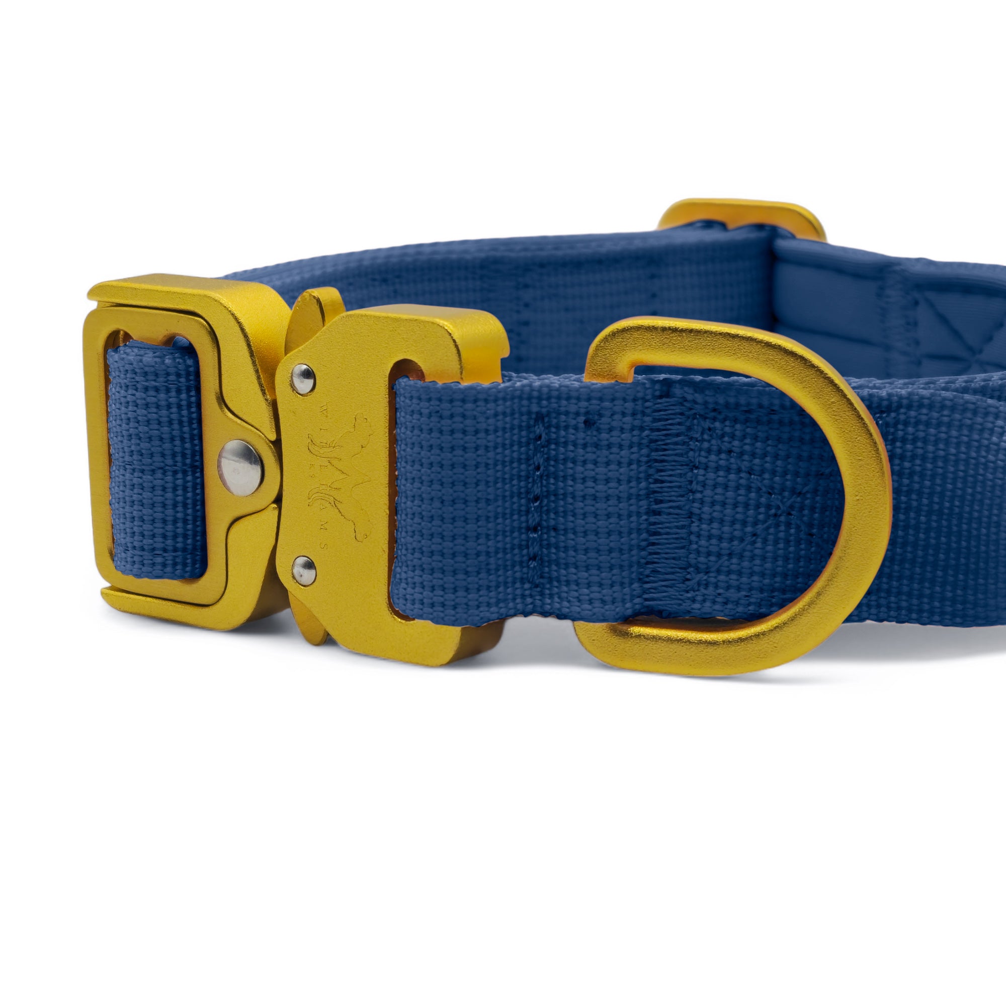 Light Tactical Collar 2.5CM Royal Blue | Triple Stitched Nylon Lightweight Gold Aluminium Buckle + D Ring Adjustable Collar With Handle