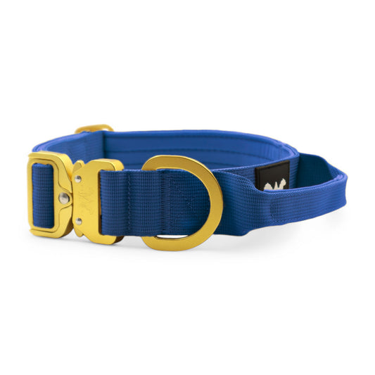 AeroForge 4CM Collar | Royal Blue