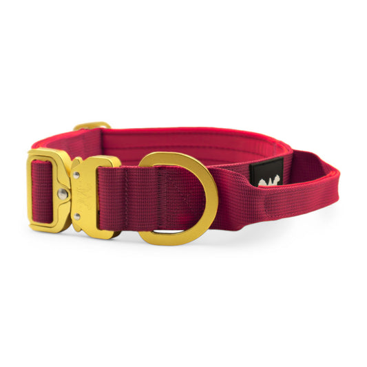 AeroForge 4CM Collar | Cherry Red