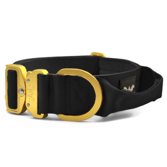 AeroForge 5CM Collar | Black