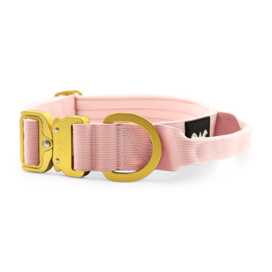 AeroForge 4CM Collar | Soft Pink