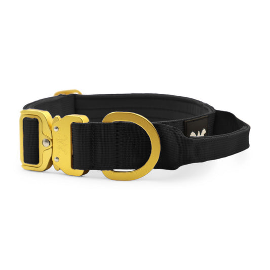 AeroForge 4CM Collar | Black