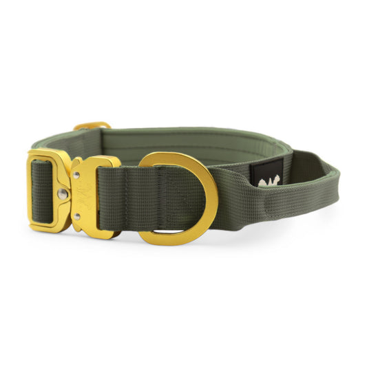 AeroForge 4CM Collar | Khaki